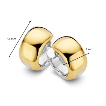 Oorringen bicolor 26849 nl g