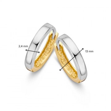 Oorringen bicolor 27981 nl g