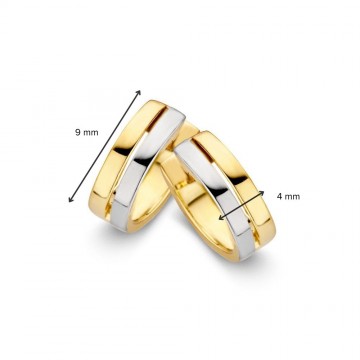 Oorringen bicolor 30949 nl g