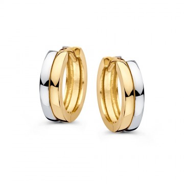 Oorringen bicolor 31379 nl g
