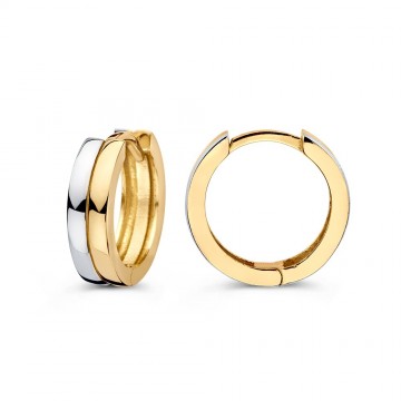 Oorringen bicolor 31380 nl g