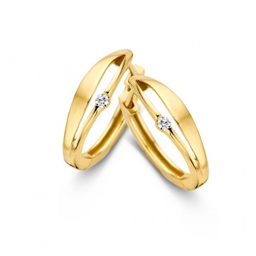 Oorringen bicolor briljant 0 03 crt 32610 nl g