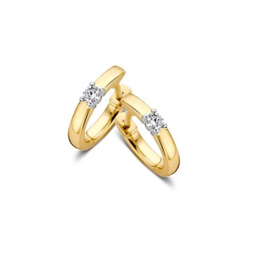 Oorringen bicolor briljant 0 10 crt 21161 nl g