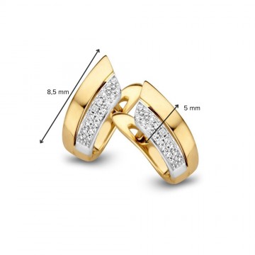 Oorringen bicolor briljant 0 10 crt 30950 nl g