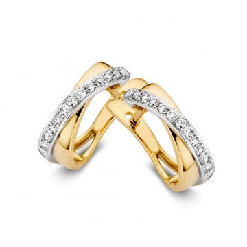 Oorringen bicolor briljant 0 16 crt 14814 nl g