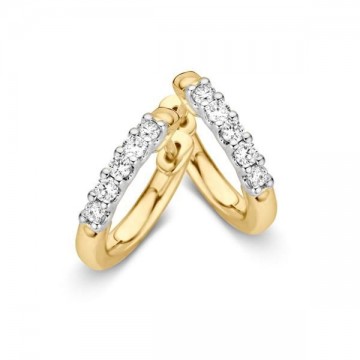 Oorringen bicolor briljant 0 20 crt 14976 nl g