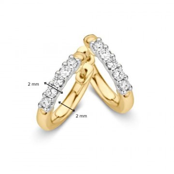 Oorringen bicolor briljant 0 20 crt 30891 nl g