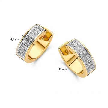 Oorringen bicolor briljant 0 31 crt 31113 nl g