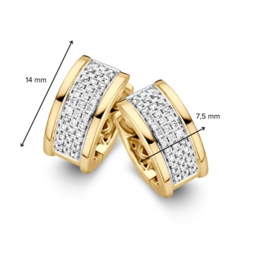 Oorringen bicolor briljant 0 45 crt 27029 nl g