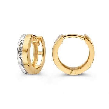 Oorringen bicolor zirkonia 31569 nl g