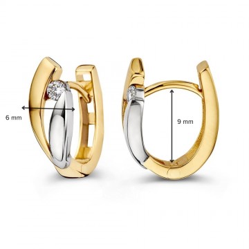 Oorringen bicolor zirkonia 31595 nl g