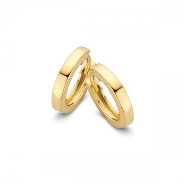 Oorringen geelgoud 15550 nl g