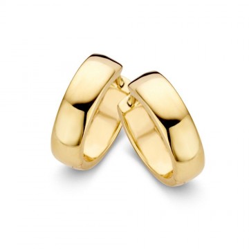 Oorringen geelgoud 16674 nl g