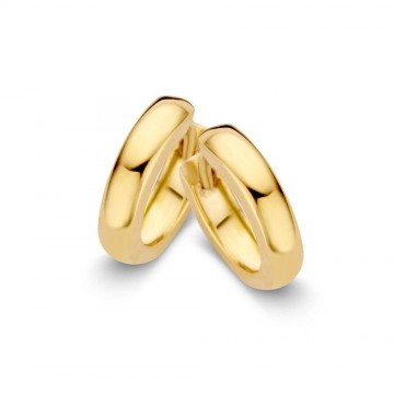 Oorringen geelgoud 16677 nl g