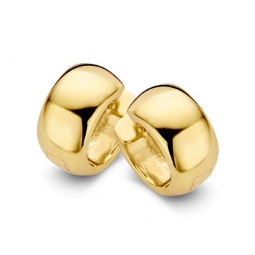 Oorringen geelgoud 16691 nl g