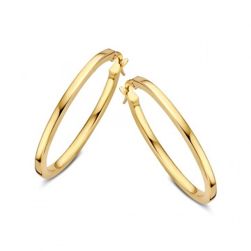 Oorringen geelgoud 22222 nl g