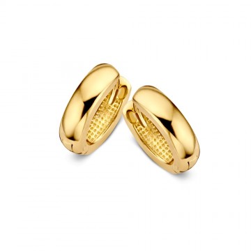 Oorringen geelgoud 22254 nl g