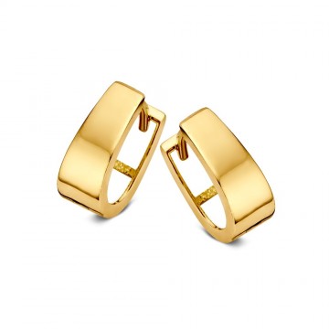 Oorringen geelgoud 22255 nl g