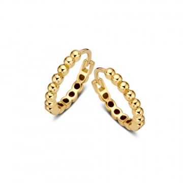 Oorringen geelgoud 22256 nl g