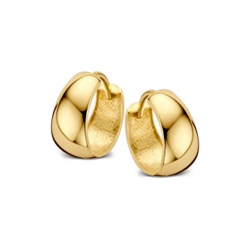 Oorringen geelgoud 24542 nl g