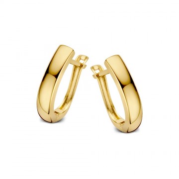 Oorringen geelgoud 24544 nl g
