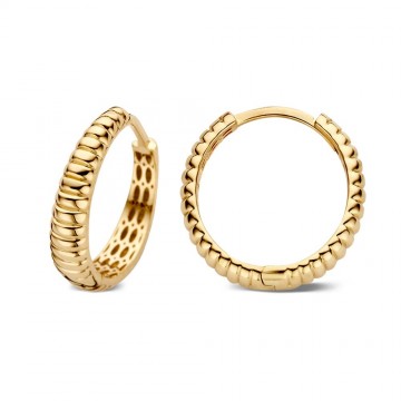 Oorringen geelgoud 25780 nl g