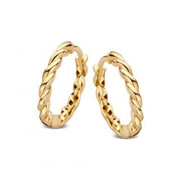Oorringen geelgoud 25781 nl g