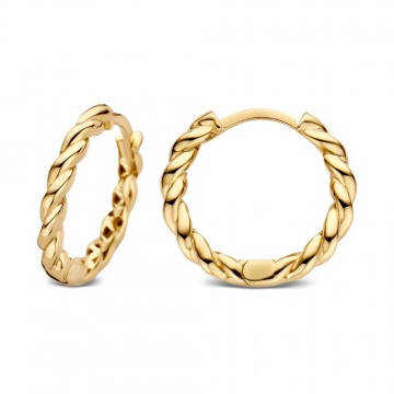 Oorringen geelgoud 25782 nl g