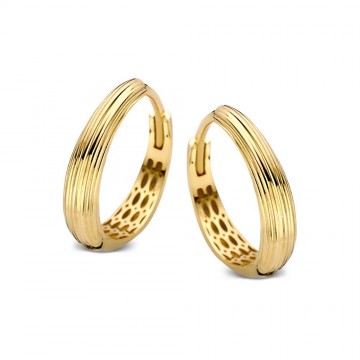 Oorringen geelgoud 25783 nl g