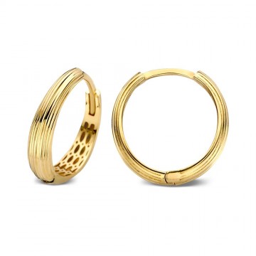 Oorringen geelgoud 25784 nl g