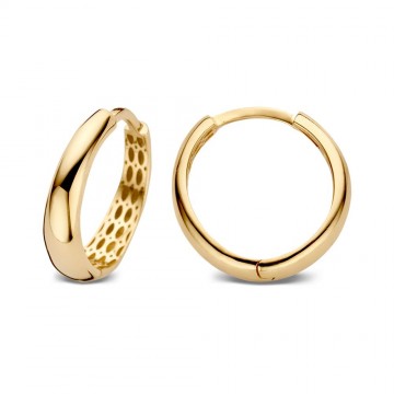 Oorringen geelgoud 25786 nl g