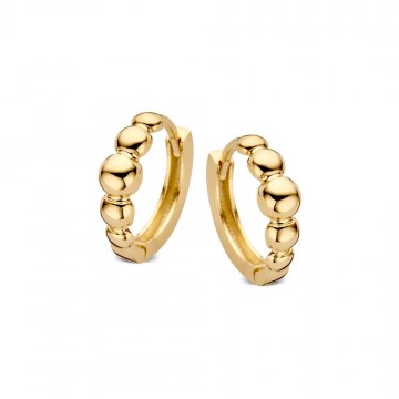 Oorringen geelgoud 25787 nl g