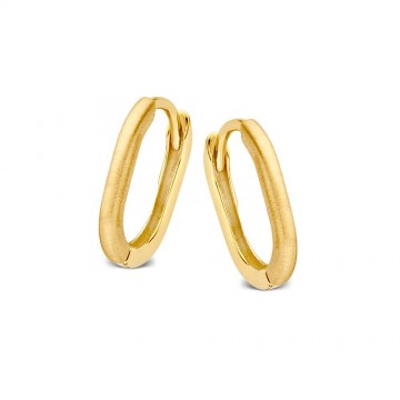 Oorringen geelgoud 25875 nl g