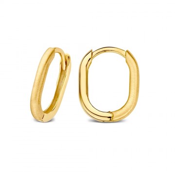 Oorringen geelgoud 25876 nl g
