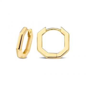 Oorringen geelgoud 25881 nl g