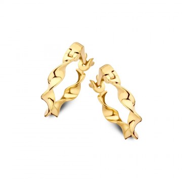 Oorringen geelgoud 25882 nl g