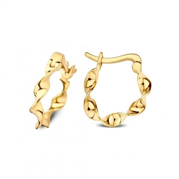 Oorringen geelgoud 25883 nl g