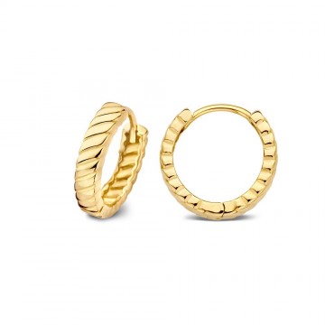 Oorringen geelgoud 25885 nl g