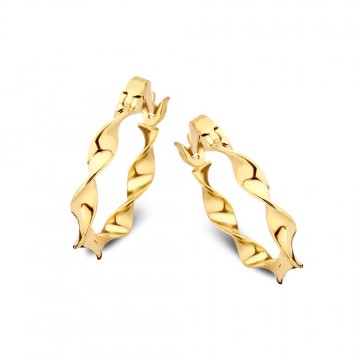 Oorringen geelgoud 25886 nl g