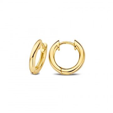 Oorringen geelgoud 25891 nl g