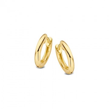 Oorringen geelgoud 25892 nl g