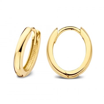 Oorringen geelgoud 25894 nl g