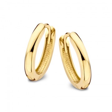 Oorringen geelgoud 25895 nl g