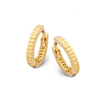 Oorringen geelgoud 25976 nl g