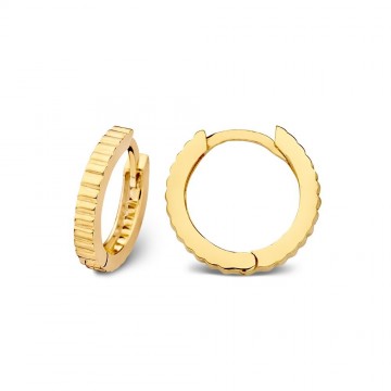 Oorringen geelgoud 25977 nl g