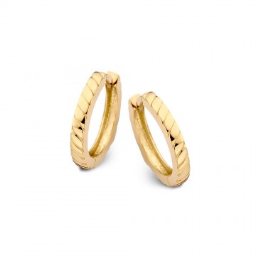 Oorringen geelgoud 25978 nl g