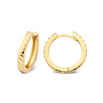 Oorringen geelgoud 25979 nl g