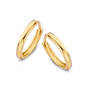 Oorringen geelgoud 25982 nl g