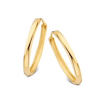 Oorringen geelgoud 25984 nl g