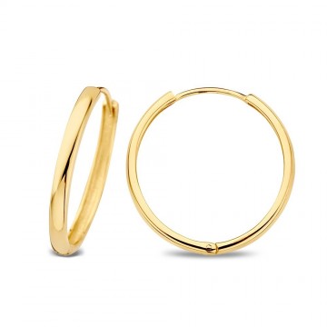 Oorringen geelgoud 25985 nl g